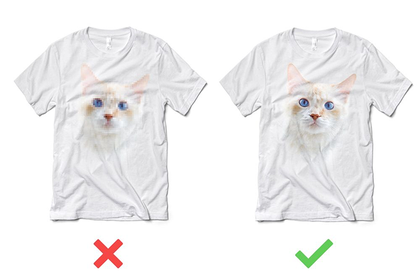 Image Quality Matters